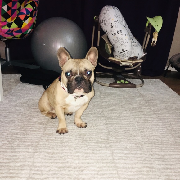 Meet your Posher, Marisa - Picture 1 of 1